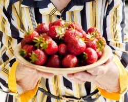 Beneficios de las fresas en el proceso de envejecimiento